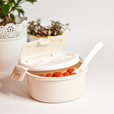 Pojemnik na lunch Tastyway | RD-R08240.13