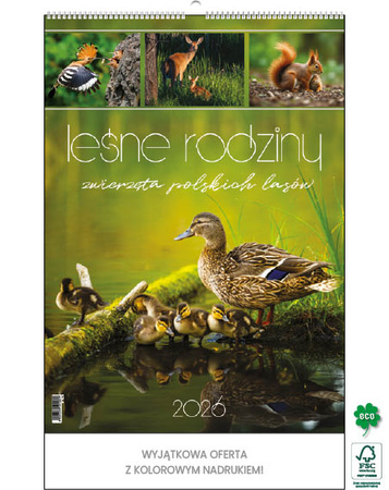 Kalendarz wieloplanszowy STANDARD – Leśne rodziny | J-WP128
