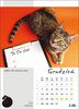 Kalendarz wieloplanszowy STANDARD – Kot w biurze | J-WP 136