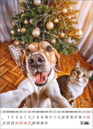 Kalendarz wieloplanszowy STANDARD – Selfie | J-WP 135