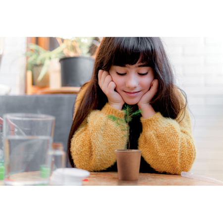 Nasiona sosny, torf, doniczka GROWTREE™ | MO-MO6228-13