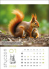 Kalendarz wieloplanszowy STANDARD – Leśne rodziny | J-WP 128