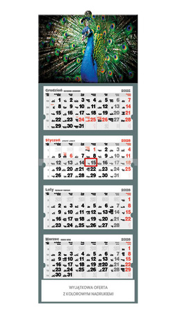 Kalendarz czterodzielny – Paw | J-C 72 BK