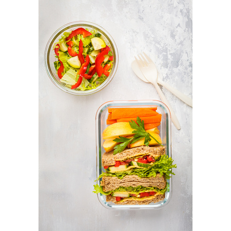 Lunchbox Delect 900 ml | RD-R08442.00