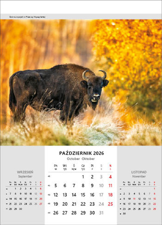 Kalendarz wieloplanszowy STANDARD – Niesamowita Polska | J-WP116