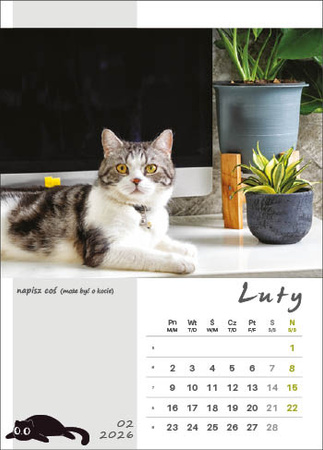 Kalendarz wieloplanszowy STANDARD – Kot w biurze | J-WP 136