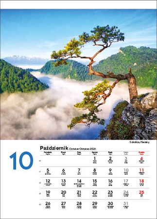 Kalendarz wieloplanszowy STANDARD – Malownicza Polska | J-WP 118