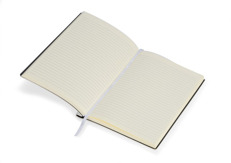 Notes Bellis A5 | BC-17705-01