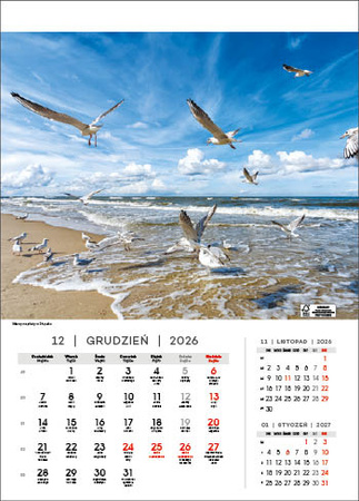 Kalendarz wieloplanszowy STANDARD – Nad Bałtykiem | J-WP 120