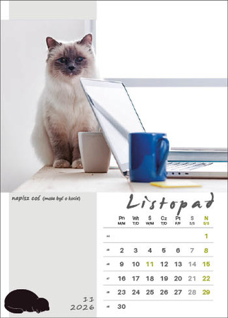 Kalendarz wieloplanszowy STANDARD – Kot w biurze | J-WP 136