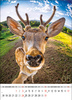 Kalendarz wieloplanszowy STANDARD – Selfie | J-WP135