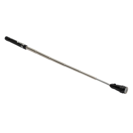 Latarka Closeup | RD-R35683.02