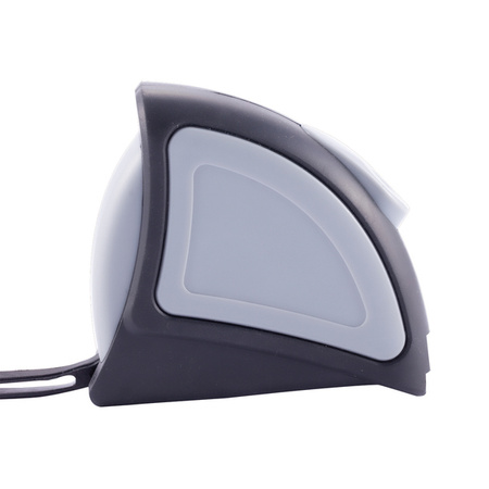 Zwijana miarka 5 m Rigorous | RD-R17632.21