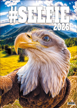 Kalendarz wieloplanszowy STANDARD – Selfie | J-WP 135