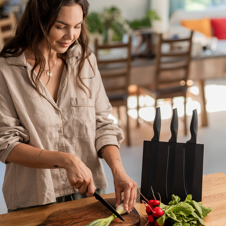 Zestaw noży na bloku magnetycznym Akita | RD-R17166.02.O