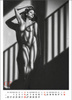 Kalendarz wieloplanszowy STANDARD – Erotic Art  | J-WP147