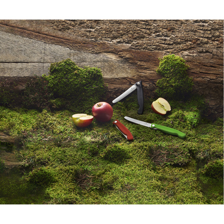 Składany nóż Swiss Classic Victorinox | EG-67836F8B08