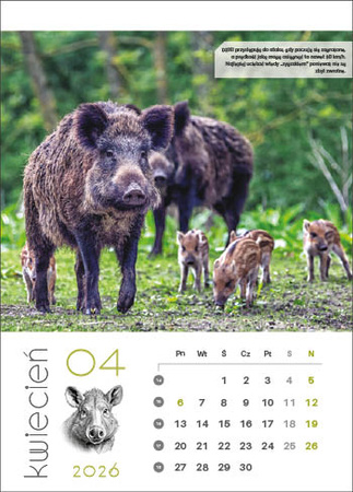 Kalendarz wieloplanszowy STANDARD – Leśne rodziny | J-WP 128