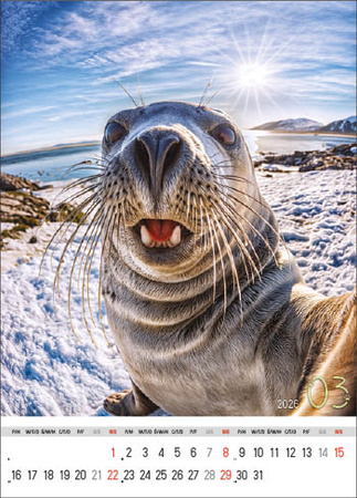 Kalendarz wieloplanszowy STANDARD – Selfie | J-WP 135