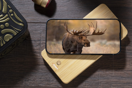 Powerbank BORRA 10000 mAh | BC-45127-17