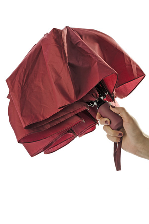 Parasol REGO | BC-37044-11