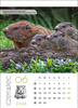Kalendarz wieloplanszowy STANDARD – Leśne rodziny | J-WP 128