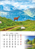 Kalendarz wieloplanszowy STANDARD – Tatry | J-WP 121