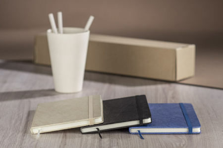 Notes TERE B6 | BC-17859-03