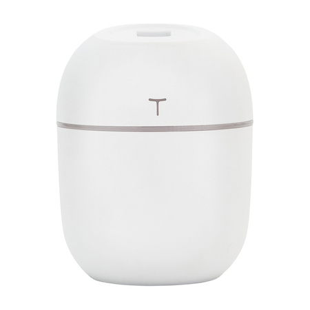 Nawilżacz z lampką Misty | RD-R50157.06