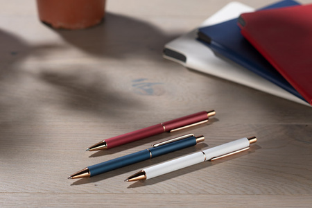 Długopis VERNO | BC-19698-01