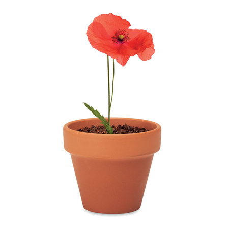 Doniczka, mak RED POPPY | MO-MO6148-40