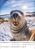 Kalendarz wieloplanszowy STANDARD – Selfie | J-WP135