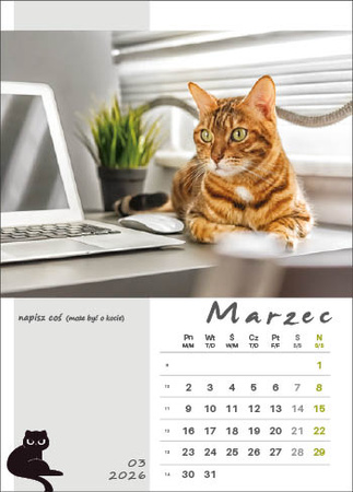 Kalendarz wieloplanszowy STANDARD – Kot w biurze | J-WP 136