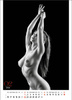 Kalendarz wieloplanszowy STANDARD – Erotic Art  | J-WP147