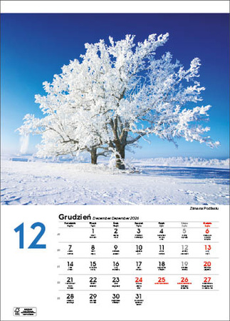 Kalendarz wieloplanszowy STANDARD – Malownicza Polska | J-WP118