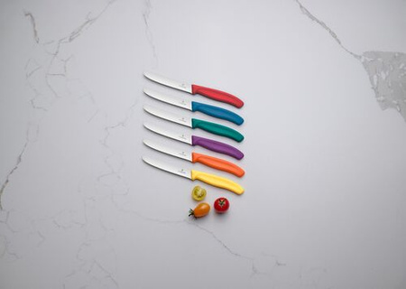 Nóż z ząbkowanym ostrzem SwissClassic Victorinox | EG-67834C114