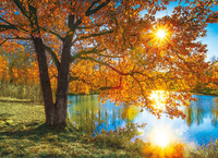 Kalendarz czterodzielny – Jesień nad jeziorem | J-C 49 BK