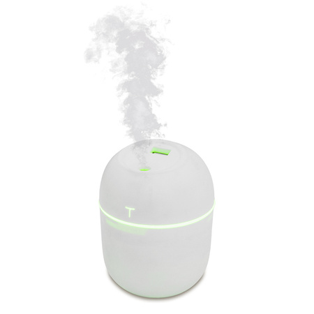 Nawilżacz z lampką Misty | RD-R50157.06