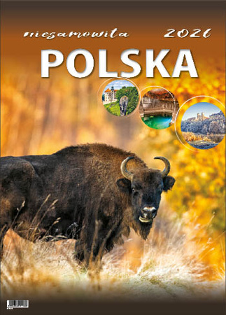 Kalendarz wieloplanszowy STANDARD – Niesamowita Polska | J-WP116