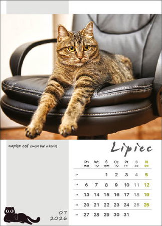 Kalendarz wieloplanszowy STANDARD – Kot w biurze | J-WP 136