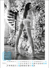 Kalendarz wieloplanszowy STANDARD – Derriere | J-WP141