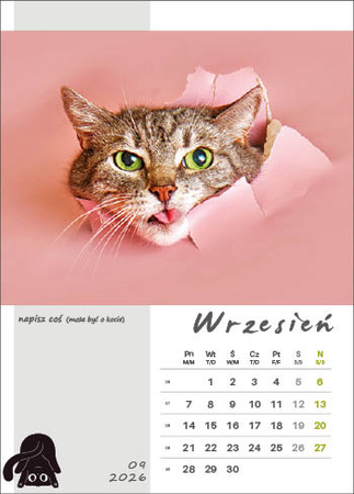 Kalendarz wieloplanszowy STANDARD – Kot w biurze | J-WP 136