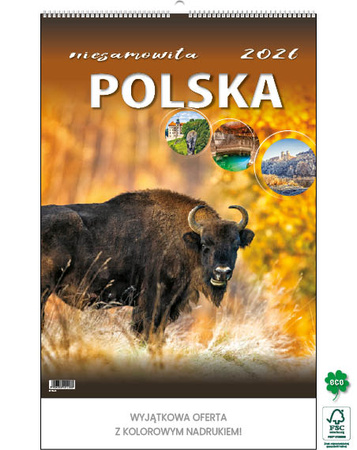 Kalendarz wieloplanszowy STANDARD – Niesamowita Polska | J-WP 116