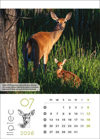 Kalendarz wieloplanszowy STANDARD – Leśne rodziny | J-WP 128