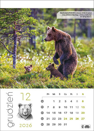 Kalendarz wieloplanszowy STANDARD – Leśne rodziny | J-WP128