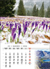 Kalendarz wieloplanszowy STANDARD – Tatry | J-WP121