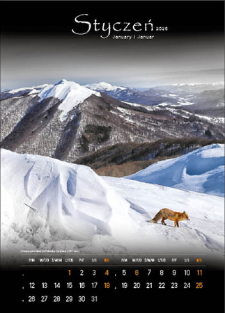 Kalendarz wieloplanszowy STANDARD – Tajemnicze Bieszczady | J-WP127