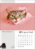 Kalendarz wieloplanszowy STANDARD – Kot w biurze | J-WP 136