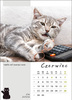 Kalendarz wieloplanszowy STANDARD – Kot w biurze | J-WP 136