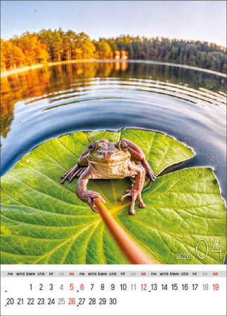 Kalendarz wieloplanszowy STANDARD – Selfie | J-WP 135
